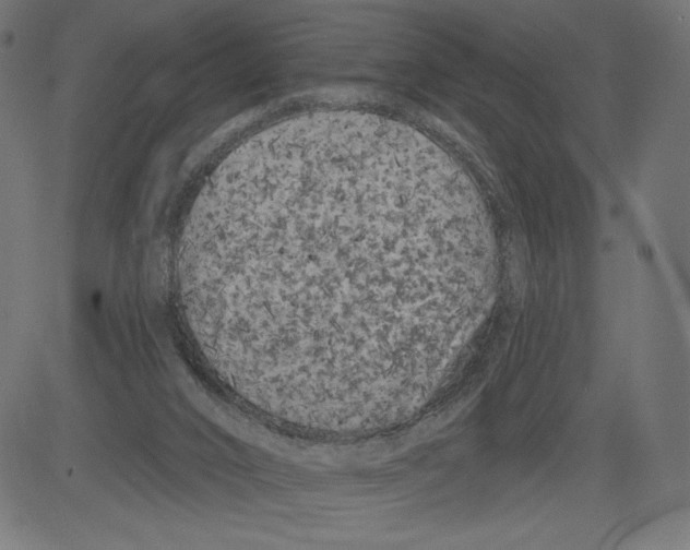 X0000081360016200702020151