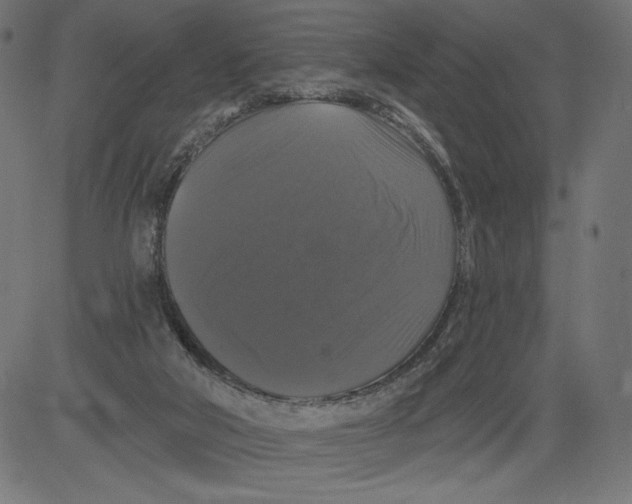 X0000081360018200702020151