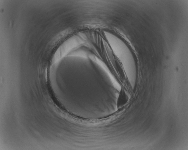 X0000081360019200702020151