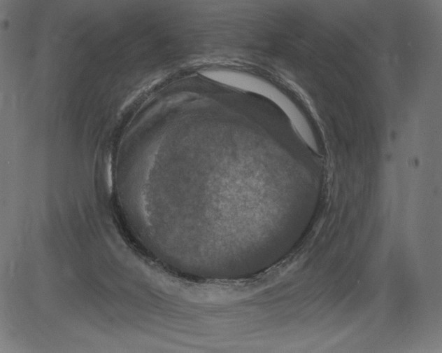 X0000081360020200702020151