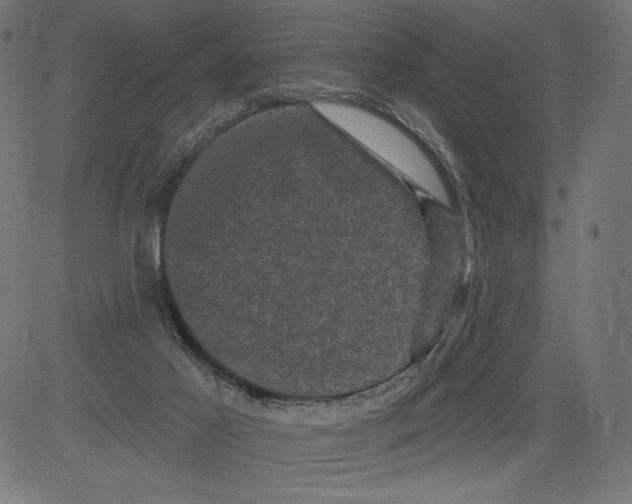 X0000081360021200702020151