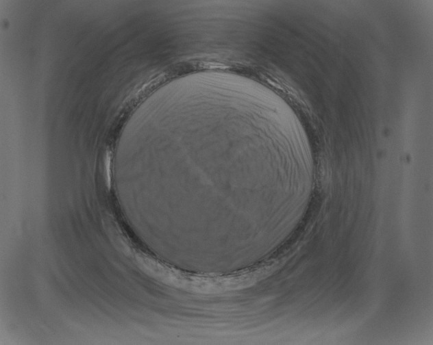 X0000081360022200702020151