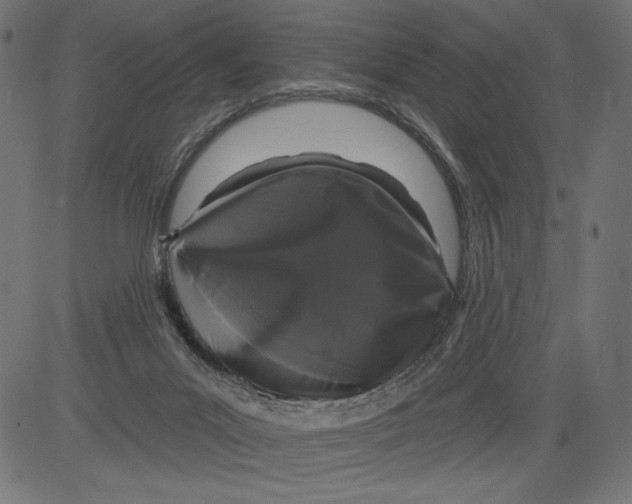 X0000081360023200702020151