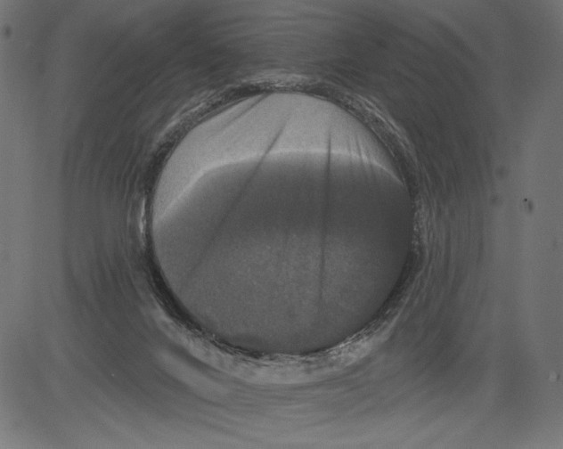 X0000081360024200702020151