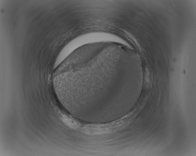 X0000081360025200702020151