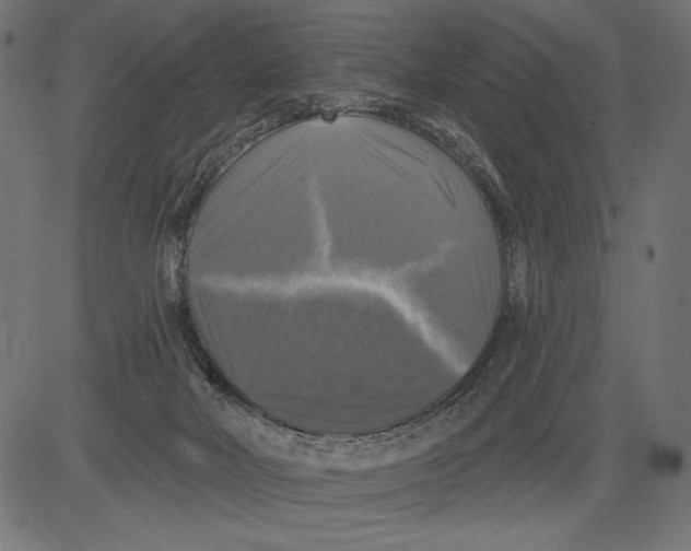 X0000081360026200702020151