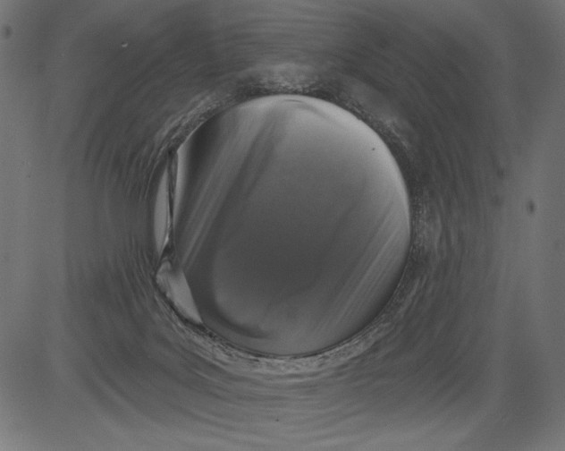 X0000081360027200702020151