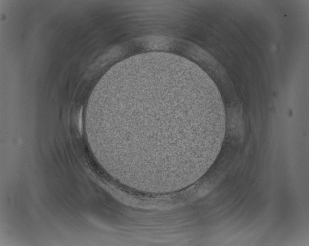 X0000081360028200702020151