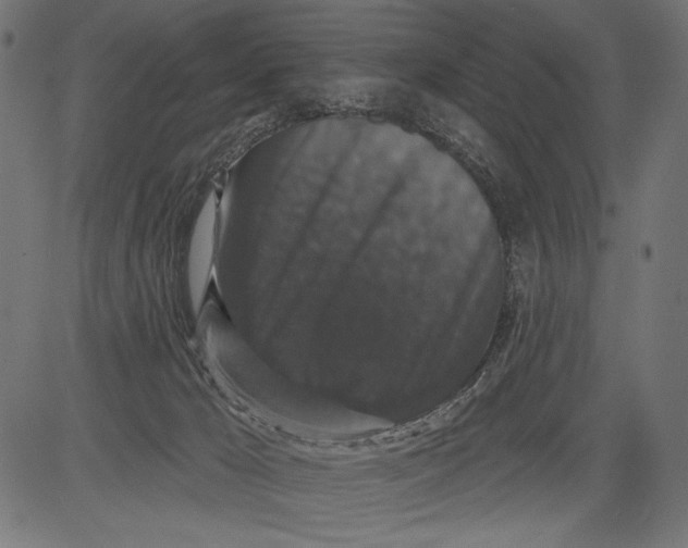 X0000081360029200702020151