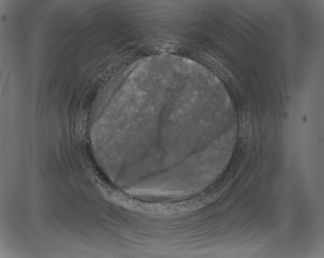 X0000081360030200702020151