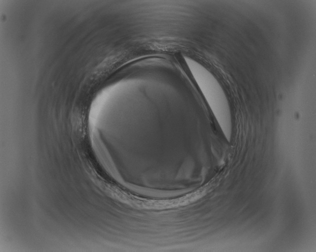 X0000081360031200702020151