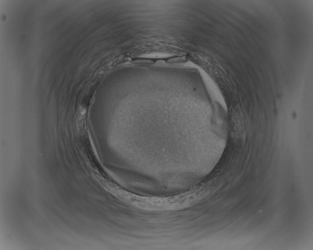 X0000081360034200702020151