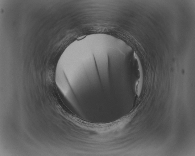 X0000081360035200702020151