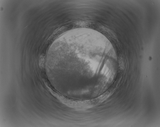 X0000081360036200702020151