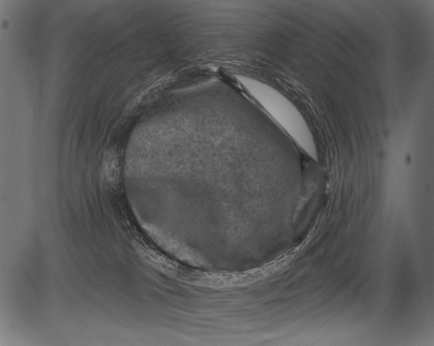 X0000081360037200702020151