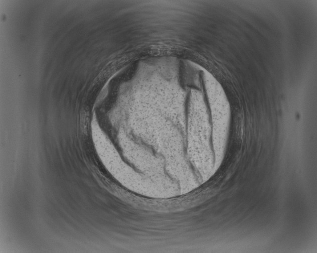 X0000081360038200702020151