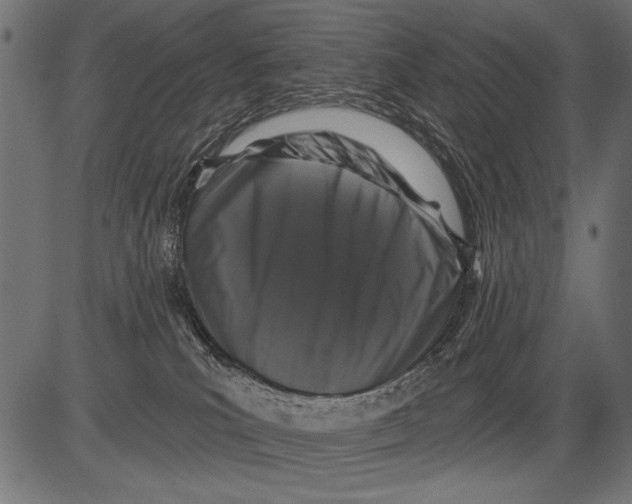 X0000081360039200702020151