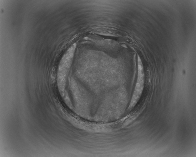 X0000081360040200702020151