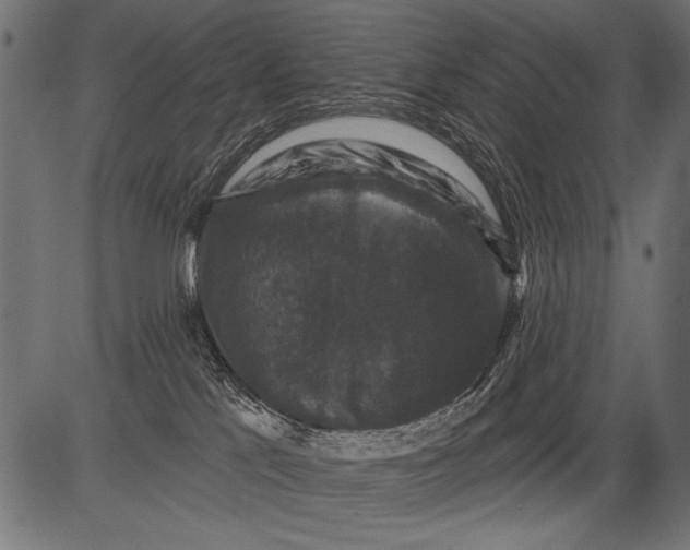 X0000081360041200702020151