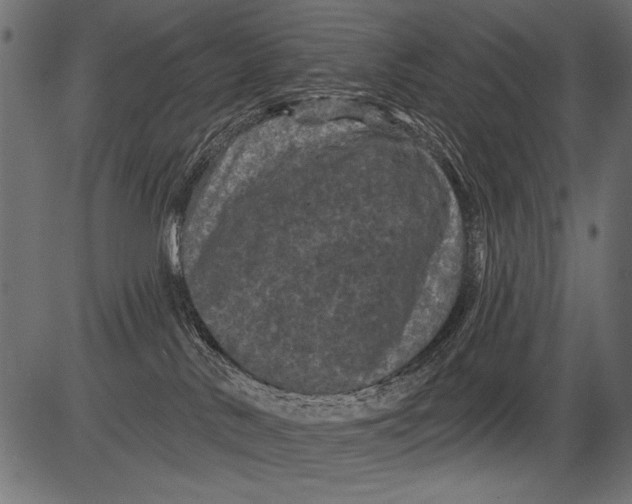 X0000081360042200702020151