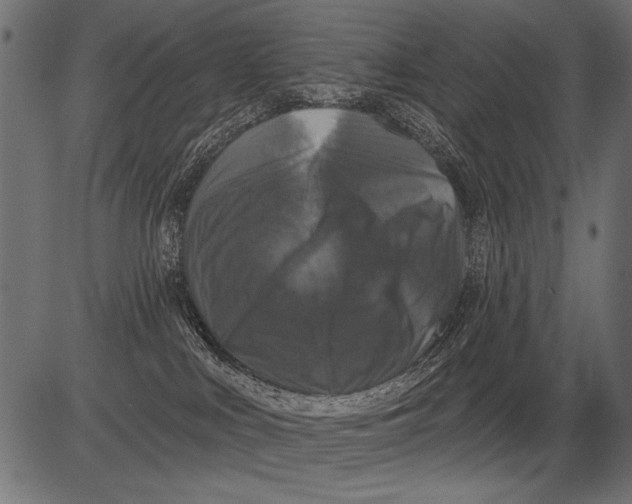 X0000081360043200702020151
