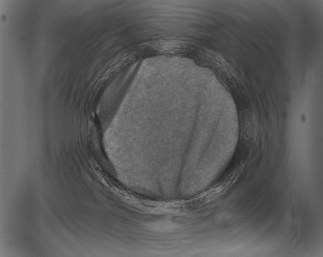 X0000081360044200702020151