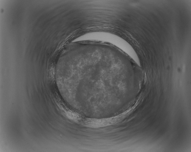 X0000081360045200702020151