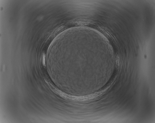 X0000081360046200702020151