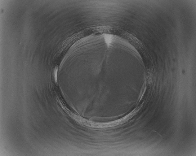 X0000081360047200702020151