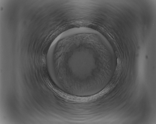 X0000081360048200702020151