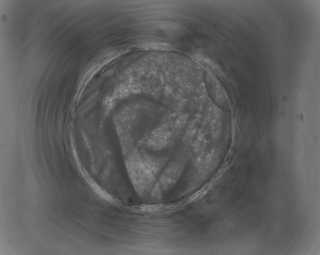 X0000081360049200702020150