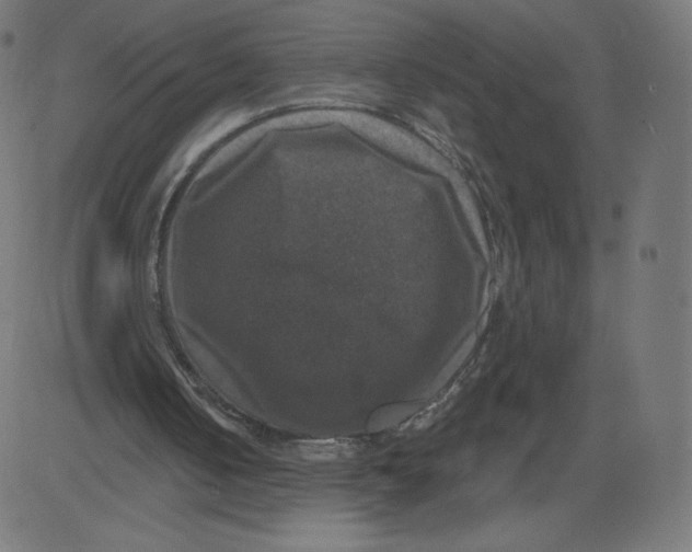 X0000081360050200702020150