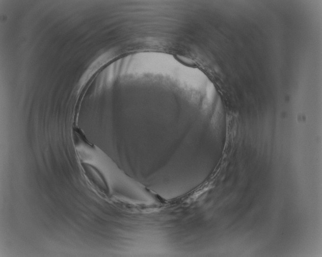 X0000081360051200702020150