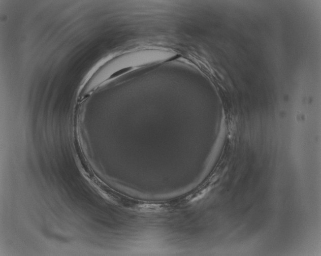 X0000081360052200702020150