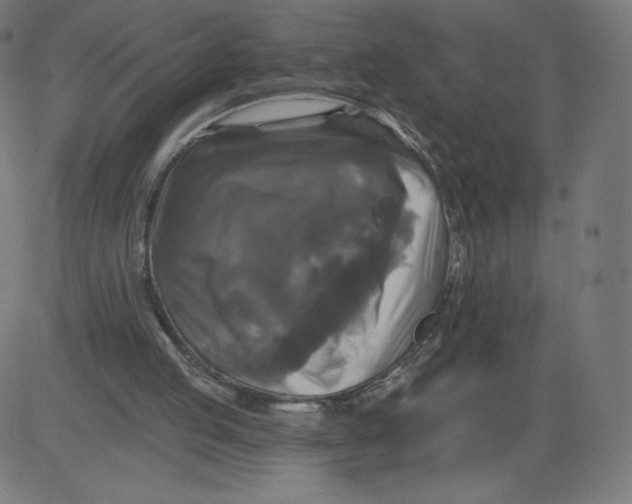 X0000081360053200702020150