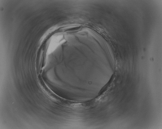 X0000081360054200702020150