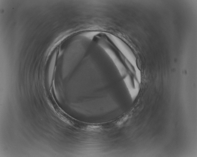 X0000081360055200702020150