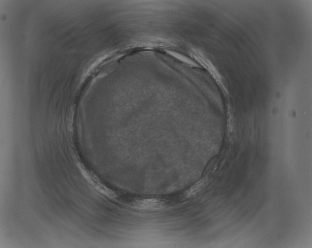 X0000081360058200702020150