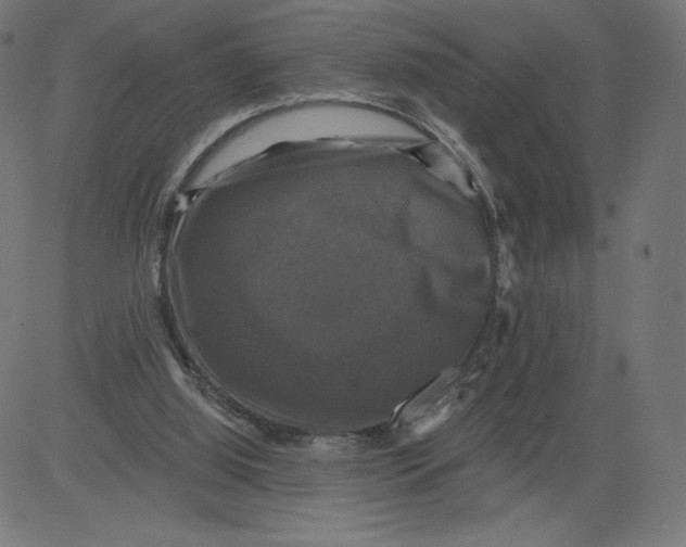 X0000081360060200702020150