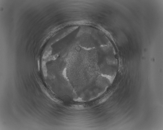 X0000081360061200702020150