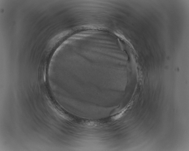 X0000081360062200702020150