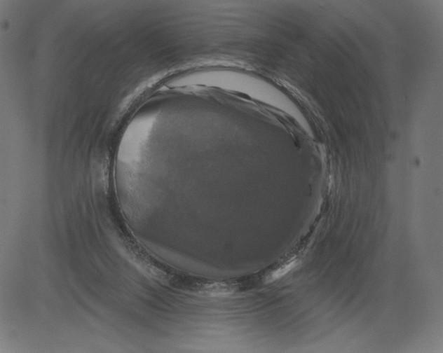 X0000081360064200702020150