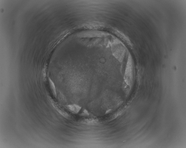 X0000081360065200702020150