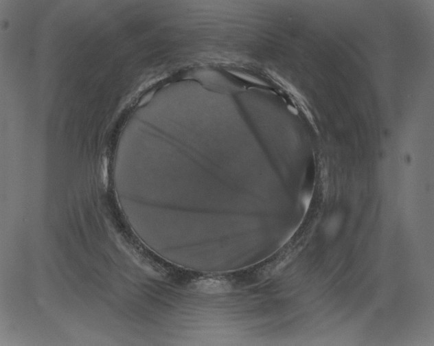 X0000081360067200702020150