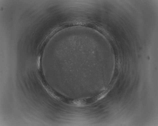 X0000081360070200702020150