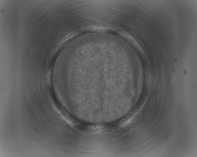 X0000081360071200702020150