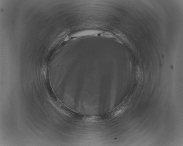 X0000081360072200702020150