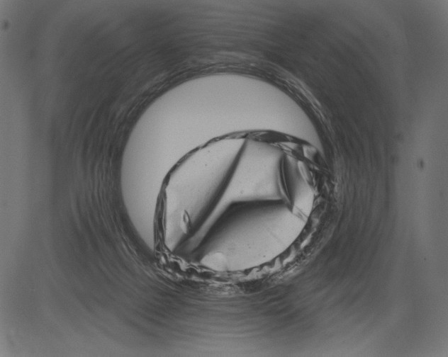 X0000081360073200702020150