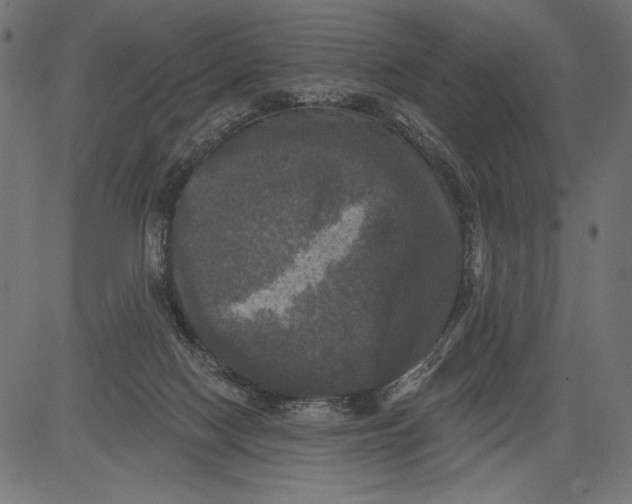 X0000081360074200702020151