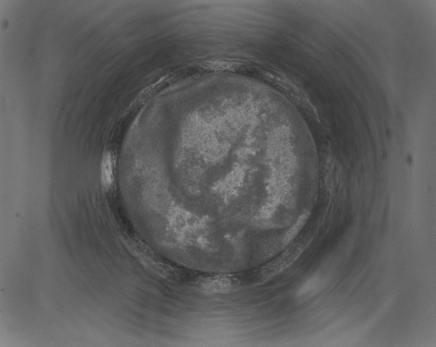 X0000081360075200702020151